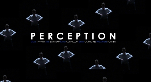 Affiche du Film Perception